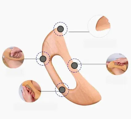 Suggested use points for the gua sha massage board on arms, legs, and shoulders